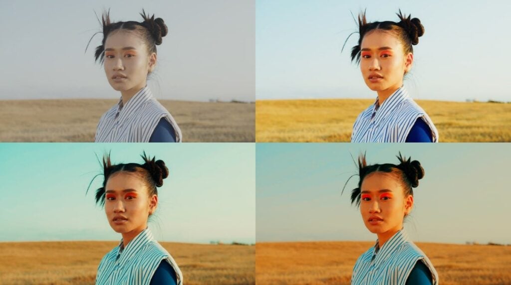 Ninja TX LUTS Ninja TX LUTS