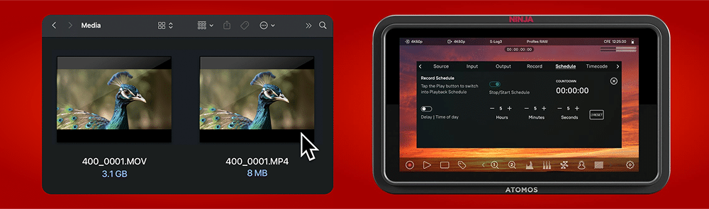 Ninja TX monitoring tools Ninja TX monitoring tools
